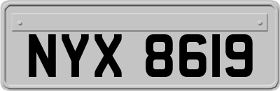 NYX8619