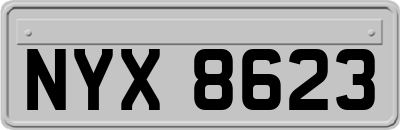 NYX8623