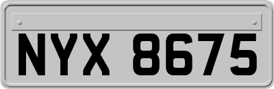 NYX8675