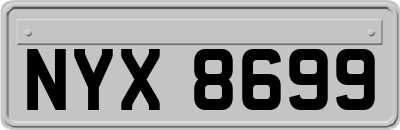 NYX8699