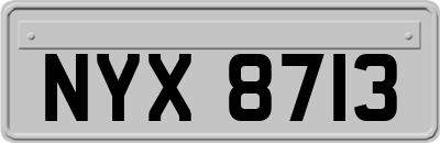 NYX8713