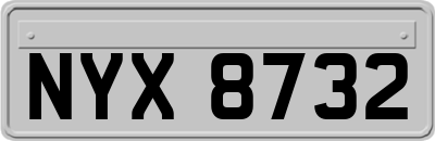 NYX8732