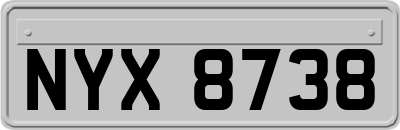 NYX8738