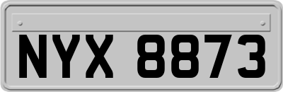 NYX8873