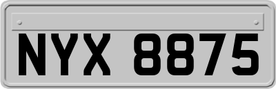 NYX8875