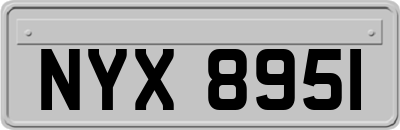 NYX8951