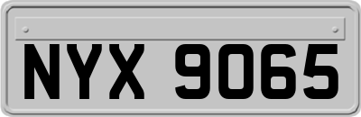 NYX9065