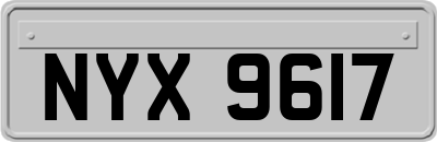 NYX9617