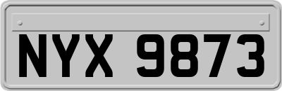 NYX9873