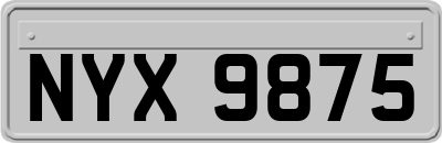 NYX9875