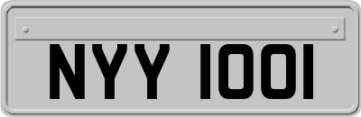 NYY1001