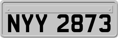 NYY2873
