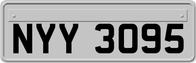 NYY3095