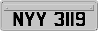 NYY3119