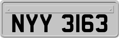 NYY3163