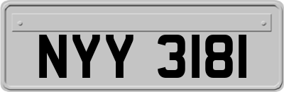NYY3181