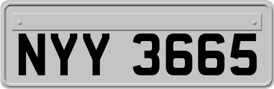 NYY3665