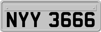 NYY3666