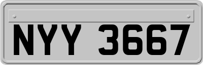 NYY3667