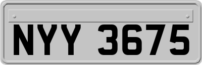 NYY3675