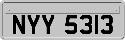 NYY5313