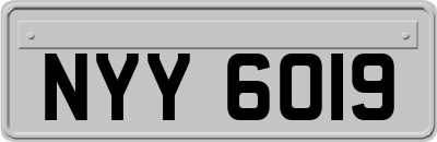 NYY6019