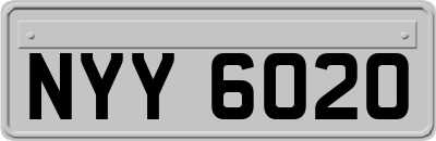 NYY6020