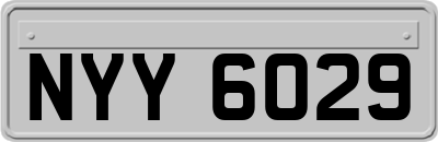 NYY6029