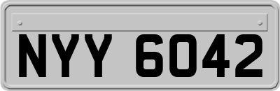 NYY6042