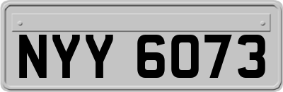 NYY6073