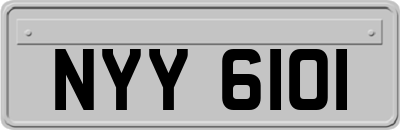 NYY6101
