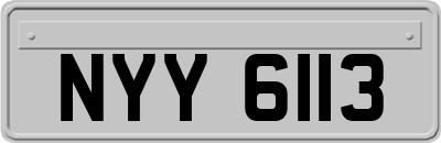 NYY6113