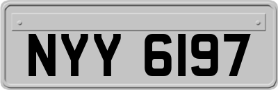 NYY6197