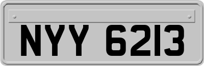 NYY6213