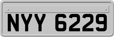 NYY6229