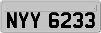 NYY6233