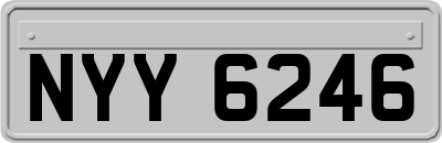 NYY6246