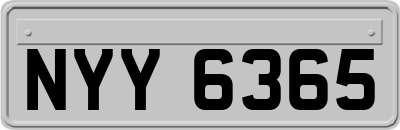 NYY6365