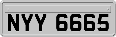 NYY6665
