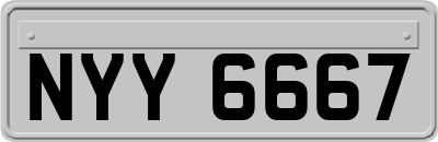 NYY6667