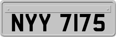 NYY7175
