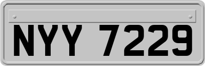 NYY7229