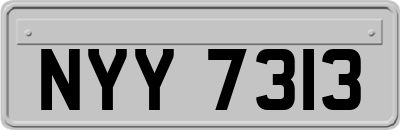 NYY7313