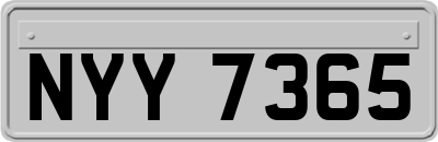 NYY7365
