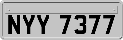 NYY7377