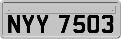 NYY7503