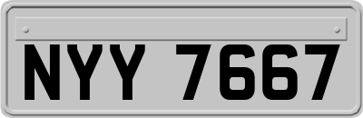 NYY7667