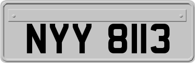 NYY8113