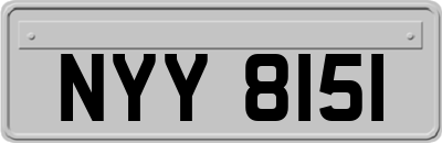 NYY8151