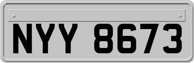 NYY8673